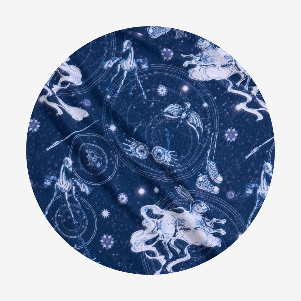 Ravenclaw House Luxe Plush Patoo® Blanket