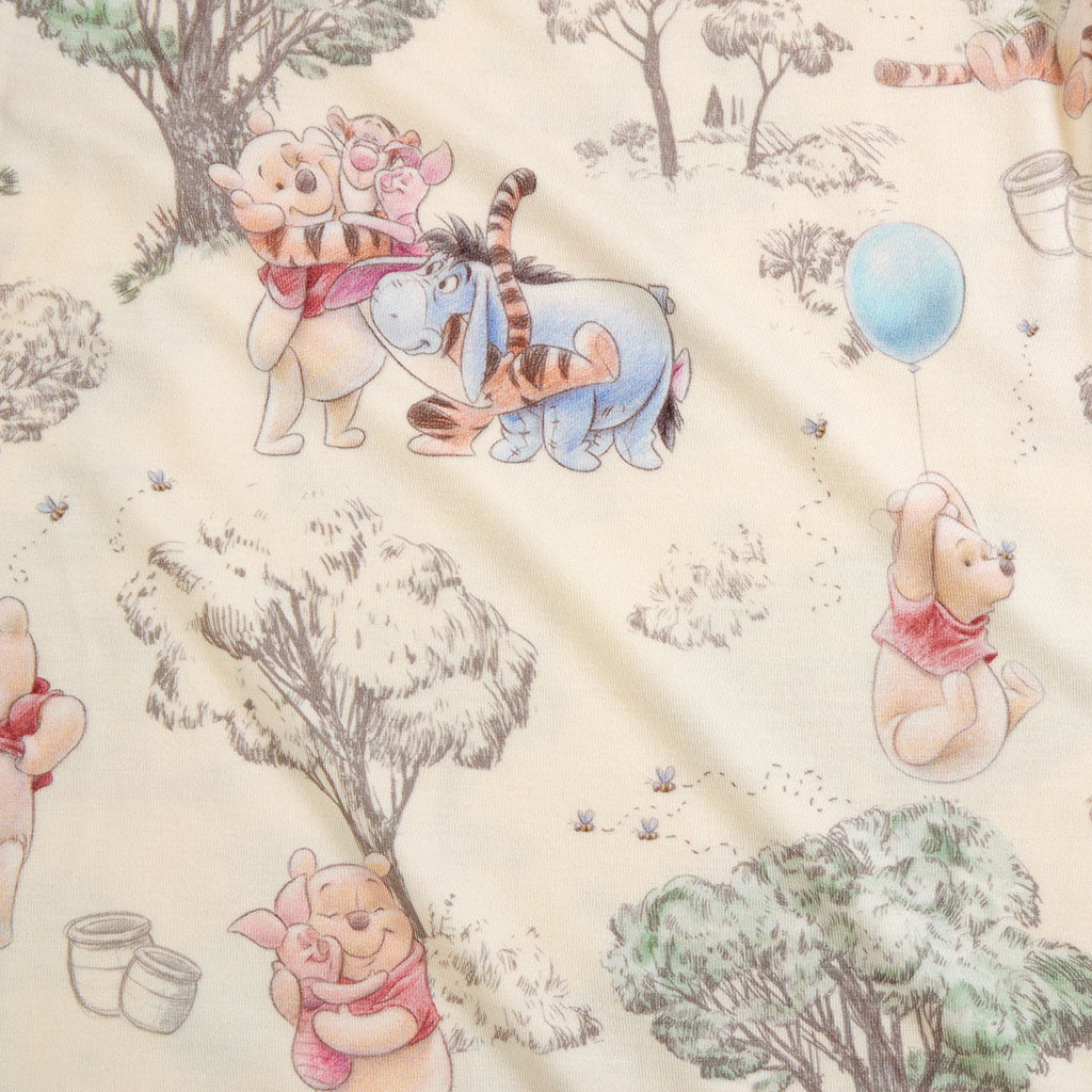 Disney Hundred Acre Wood & Pooh & Friends Luxe Patoo® Blanket