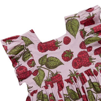 Girls Elsie Dress - Lavender Raspberries